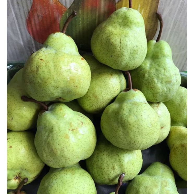 

BUAH PIR HIJAU/ PEAR PACKHAM SEGAR