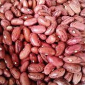 

Kacang Merah Brenenbon