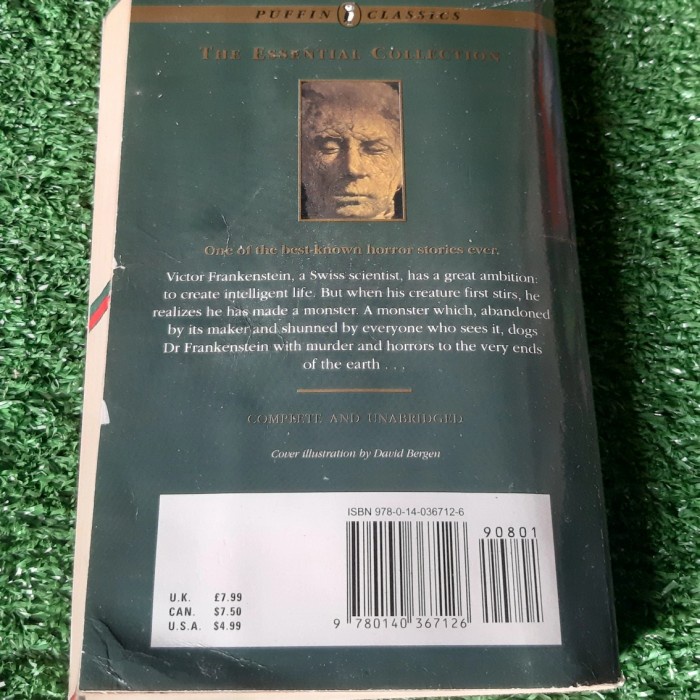 PROMO Frankenstein Mary Shelley Puffin Classics