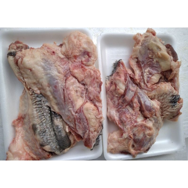 

Daging Kepala Sapi 1 kg