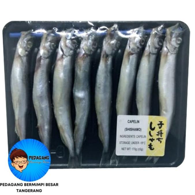 

Ikan Shisamo Fish 170gr / Ikan Capelin KAYA OMEGA 3