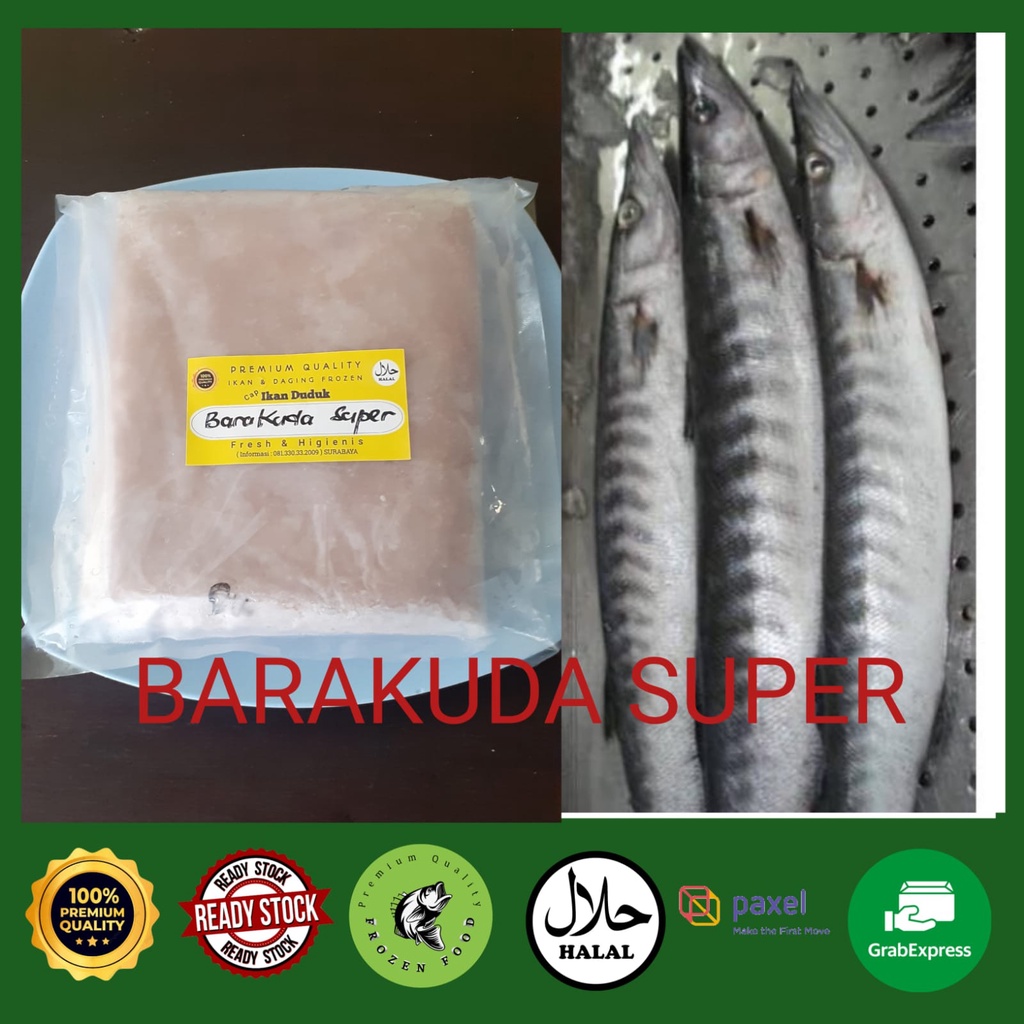 

Ikan BARAKUDA Giling SUPPER 500gram / Ikan BARAKUDA Giling / Ikan Giling /IkanLembut/bahanPempek