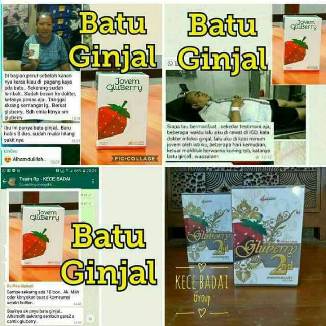 Gluberry Collagen Drink 4Jovem