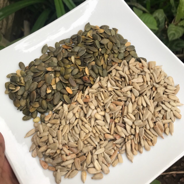 Roasted Mix Seed 1KG ( Mix Biji labu, Biji Matahari )