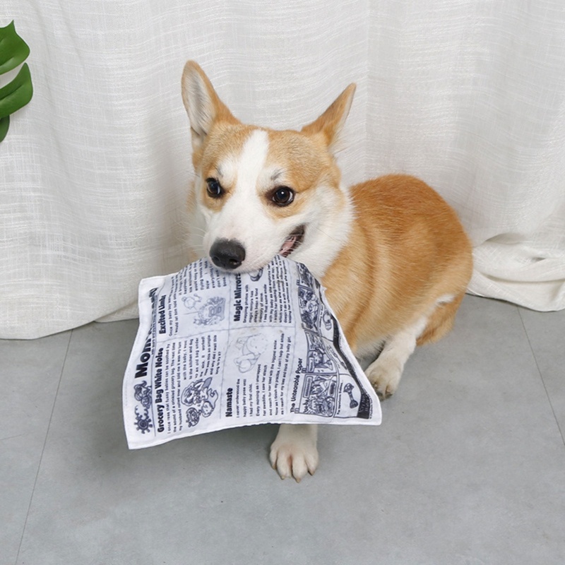 Mainan Kunyah Bentuk Koran Untuk Kesehatan Anjing Peliharaan