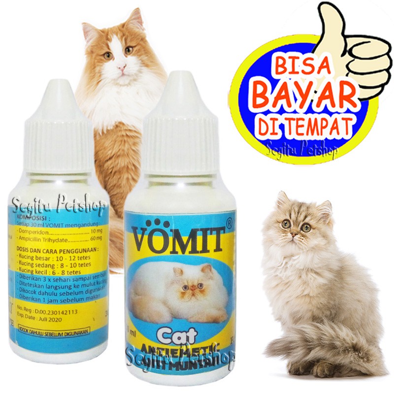 OBAT MUNTAH KUCING STRESS MABUK SAKIT PENCERNAAN VOMIT