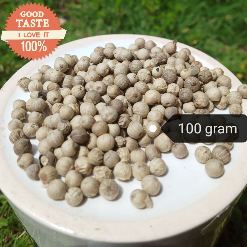 

LADA PUTIH ATAU MERICA PUTIH WHITE PEPPER BERKUALITAS DARI PETANI LADA