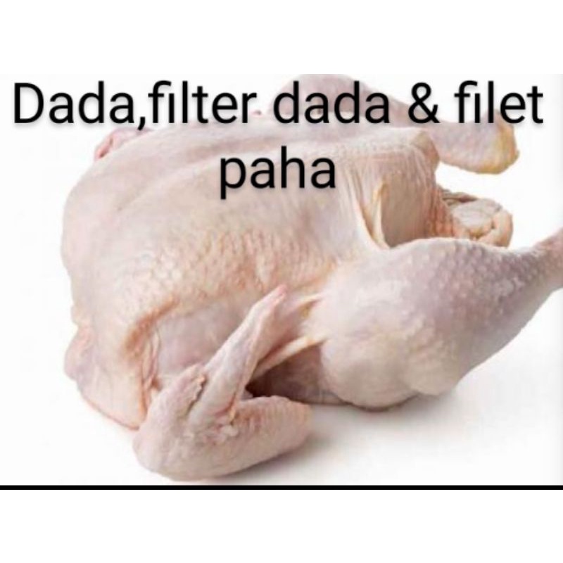 

daging ayam segar