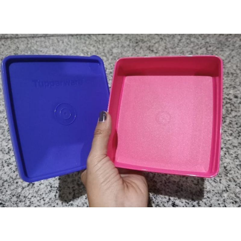 Tupperware Keeper
