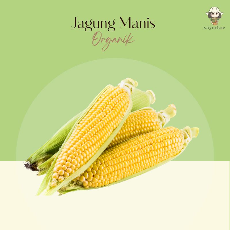 

Jagung Manis Organik 1kg