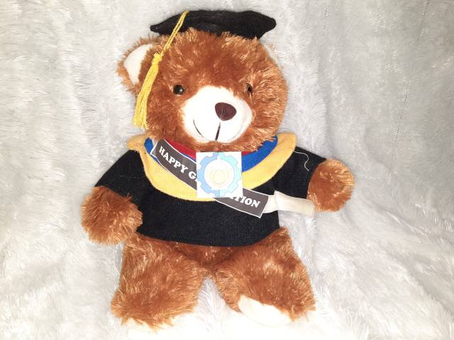 boneka wisuda/boneka ultah/ boneka sidang