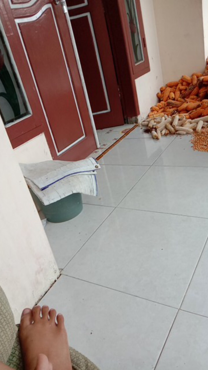 Dupa Bali Wangi Mini 500gr Full Aroma