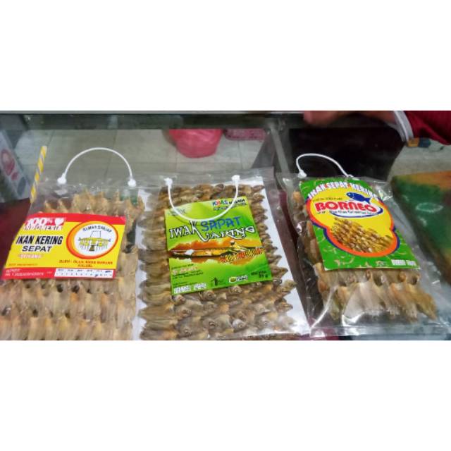 

Ikan sepat