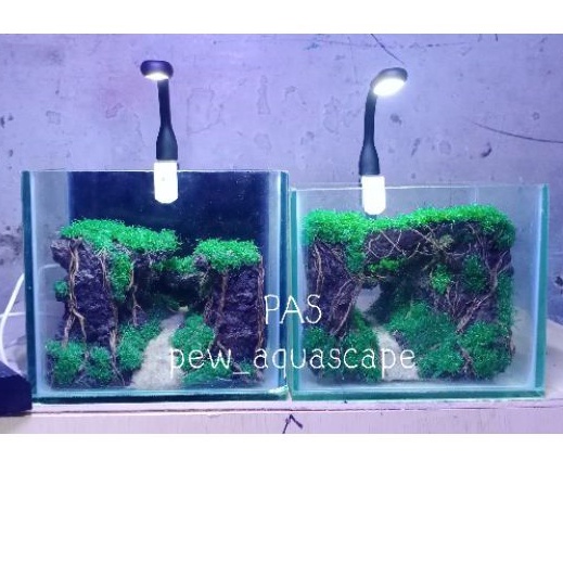 lampu led 2set lampu led usb soliter aquarium dan aquascape