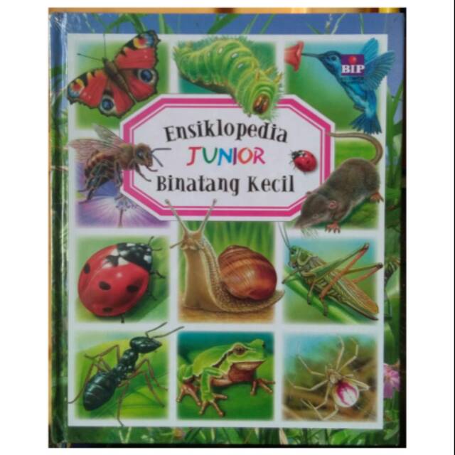 Ensiklopedia Junior : Binatang Kecil