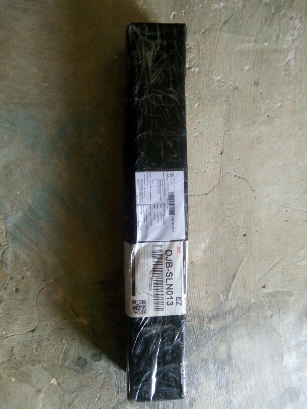 Tanaman Hias Gantung Episcia Merah / Episia Bludru Merah