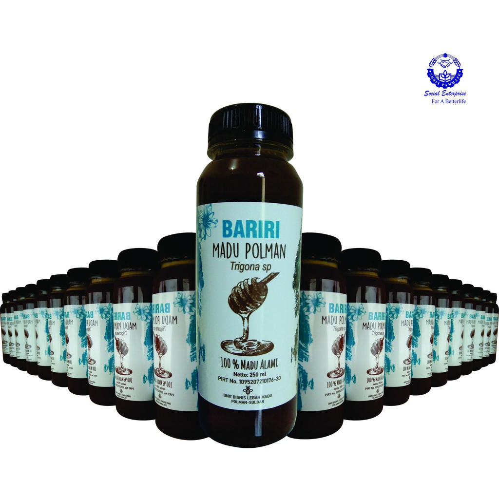 

Madu Trigona Sulawesi