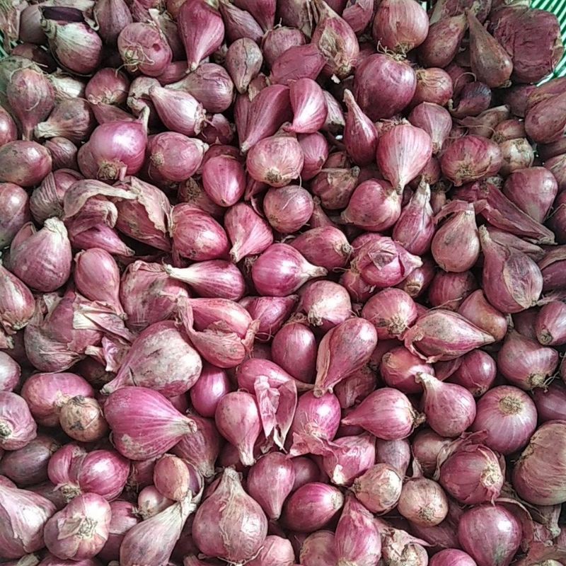 

bawang merah