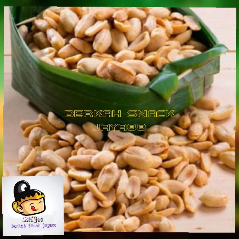

500kg kacang bawang