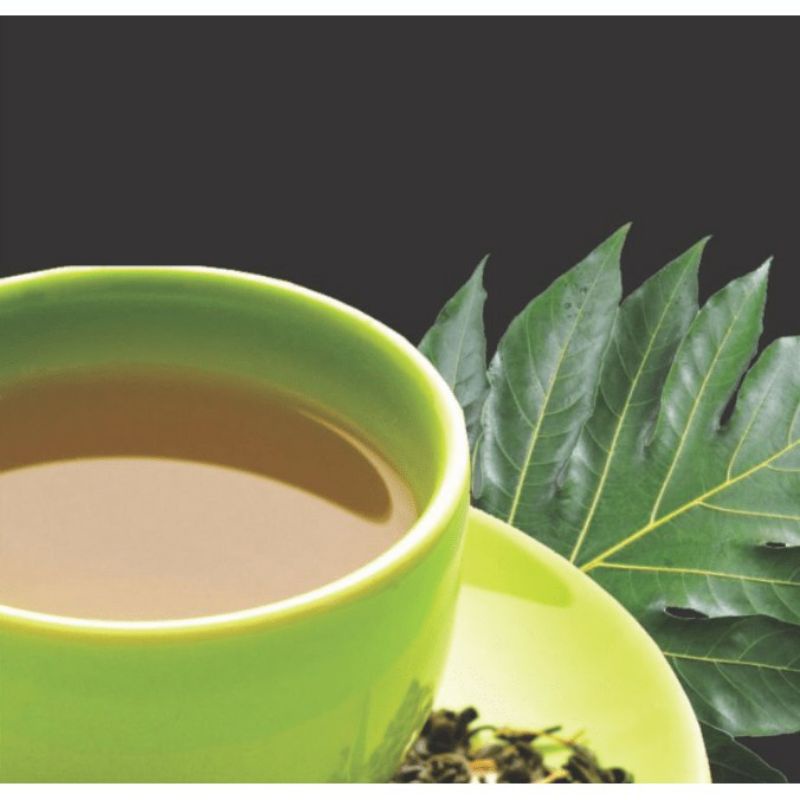 Teh Herbal Daun Sukun Kualitas Terjamin Asli Merek Laasyaka