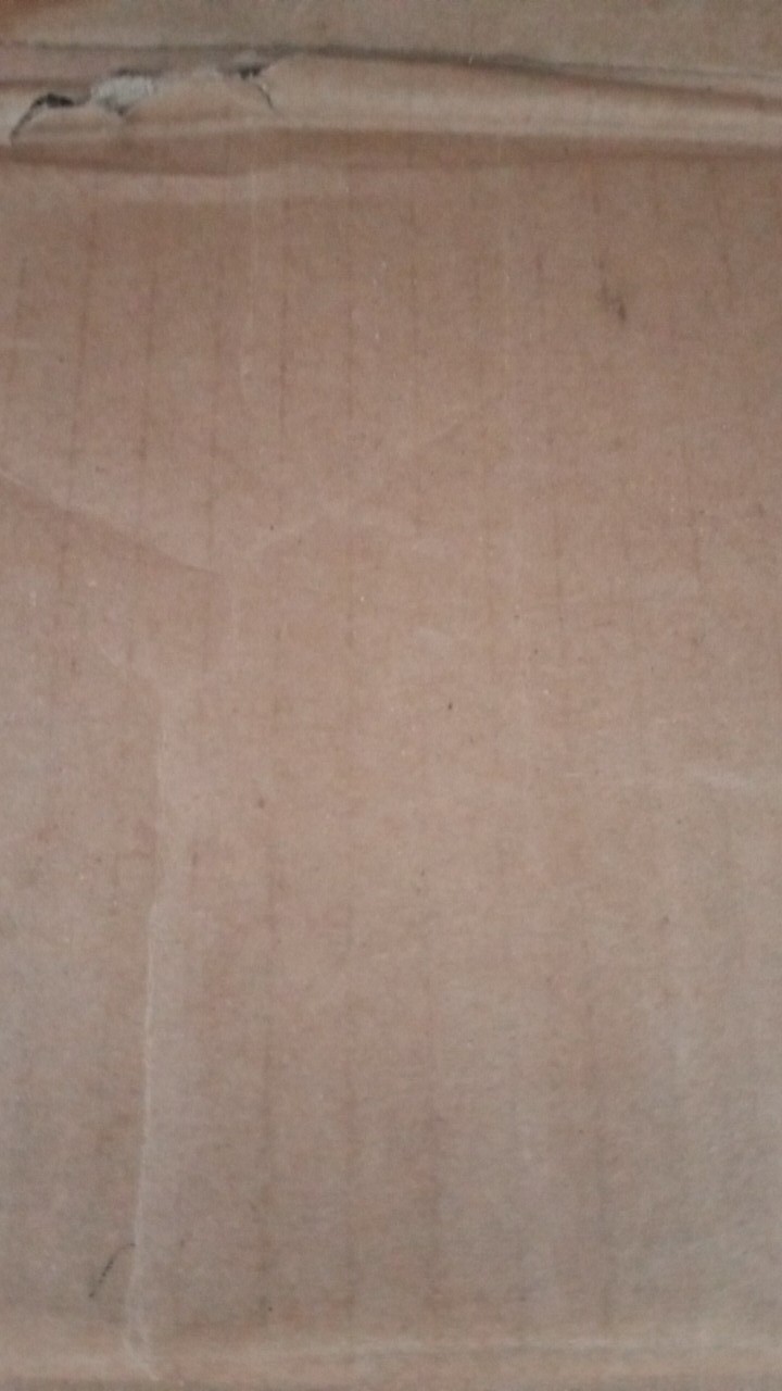 Jepitan Jemuran Baju Stainless 20pc Anti Karat Satu Set