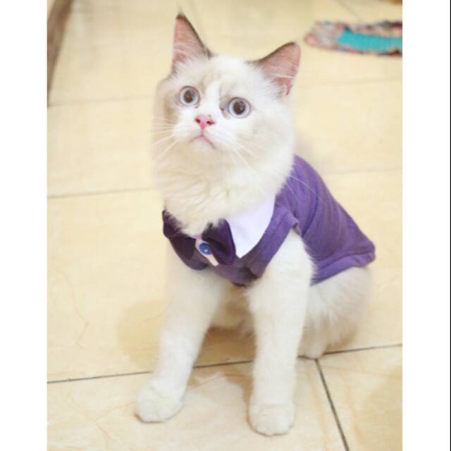 Kaos Tuxedo ungu lucu untuk kucing dan Anjing murah meriah size S M L XL (pilih ukuran)