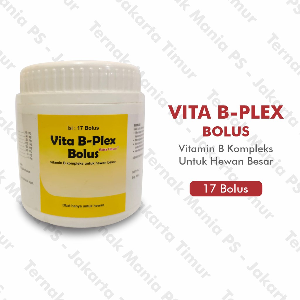 Jual Vitamin Hewan Besar Vita B-Plex Bolus Extra Flavor Medion | Shopee ...