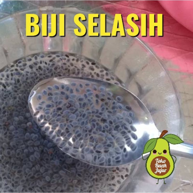 

BIJI SELASIH