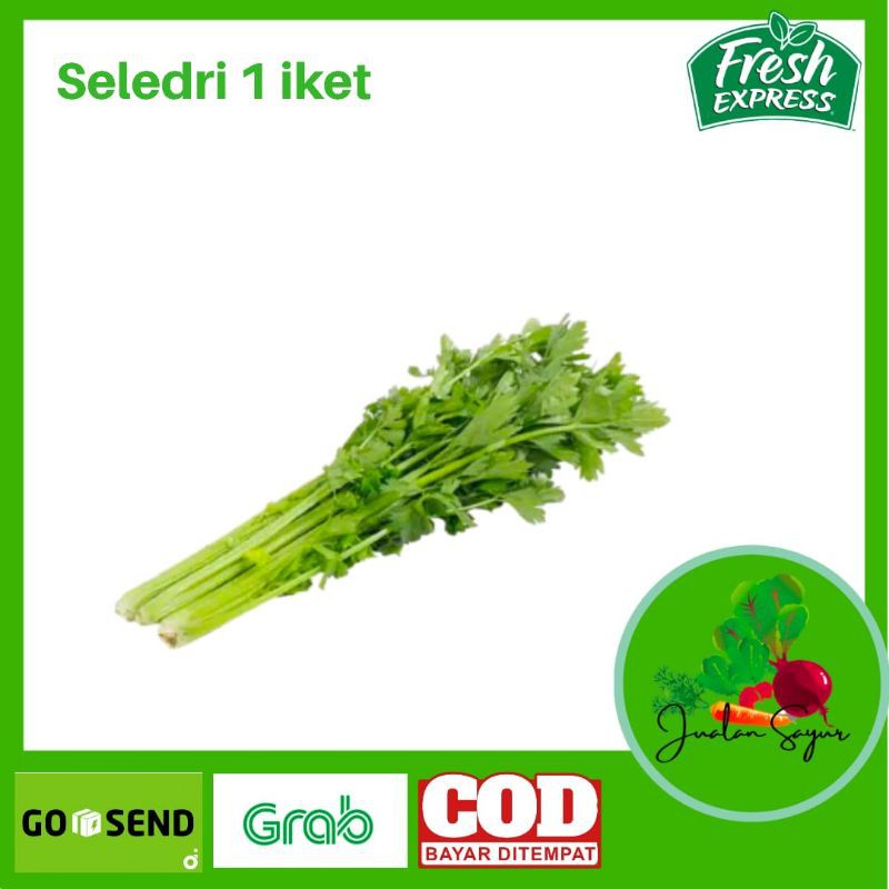 

Seledri Segar Fresh Sayuran Segar Hijau per ikat