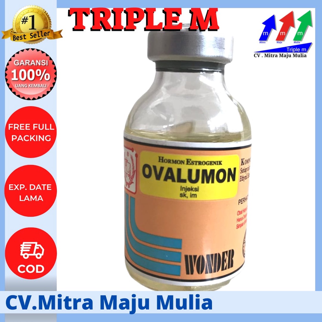 Jual Ovalumon Harga Terbaik Termurah Maret 2023 Shopee Indonesia