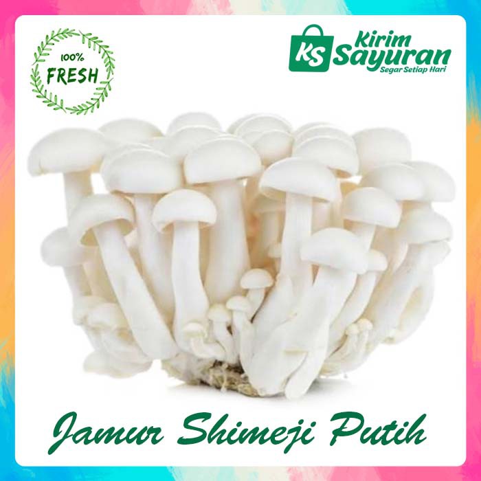 

JAMUR SHIMEJI PUTIH/WHITE SHIMEJI SEGAR/FRESH (PACK)