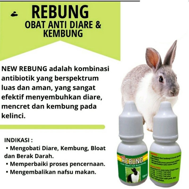 REBUNG OBAT KELINCI ANTI DIARE DAN KEMBUNG MENGEMBALIKAN NAFSU MAKAN