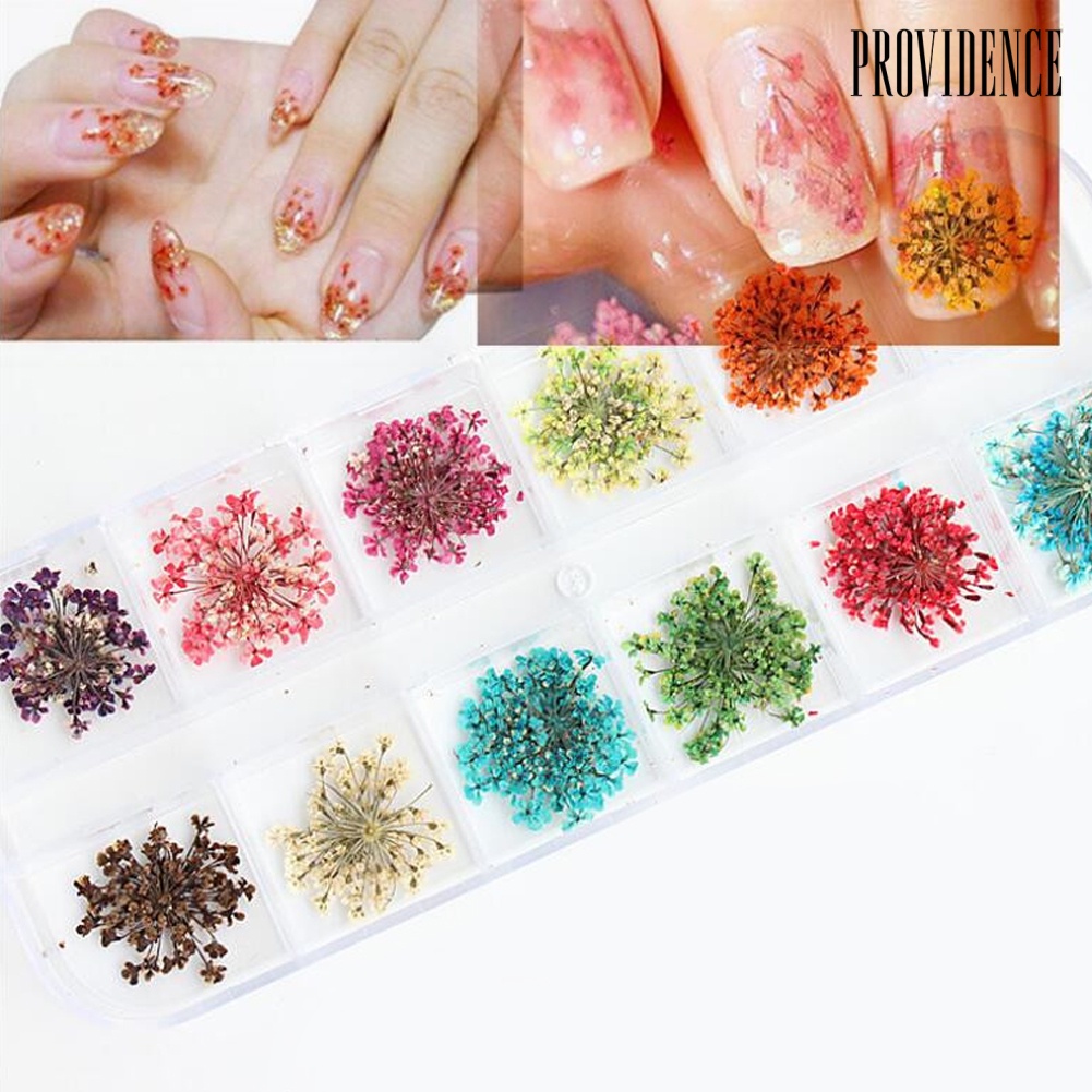 Providence Glitter 3D Nail Art Rhinestones Dried Flowers Jewelries Gems Beads Decorations