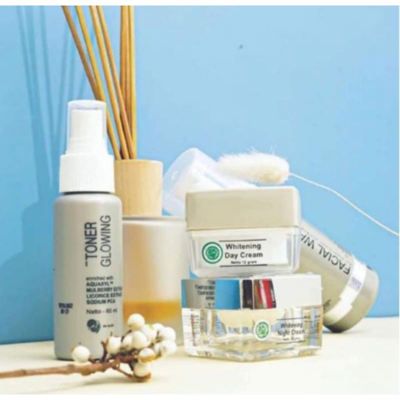 PAKET WAJAH MS GLOW ULTIMATE / PAKET DNA SALMON