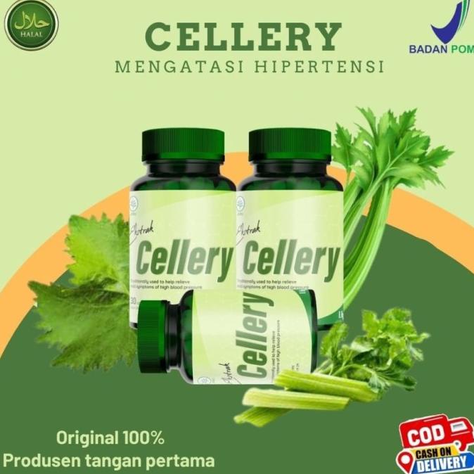 

BISA COD CELLERY OBAT HERBAL Hipertensi,Kolestrol ,Stroke dan Darah Tinggi /OBAT HERBAL ASAM URAT/OBAT HERBAL PELANGSING/OBAT HERBAL KOLESTEROL/OBAT HERBAL DIABETES