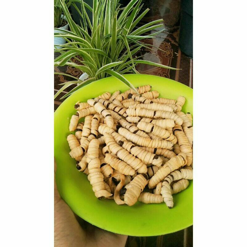 

SALE PISANG LILIT(SALE MOLEN MINI)/sale tepung