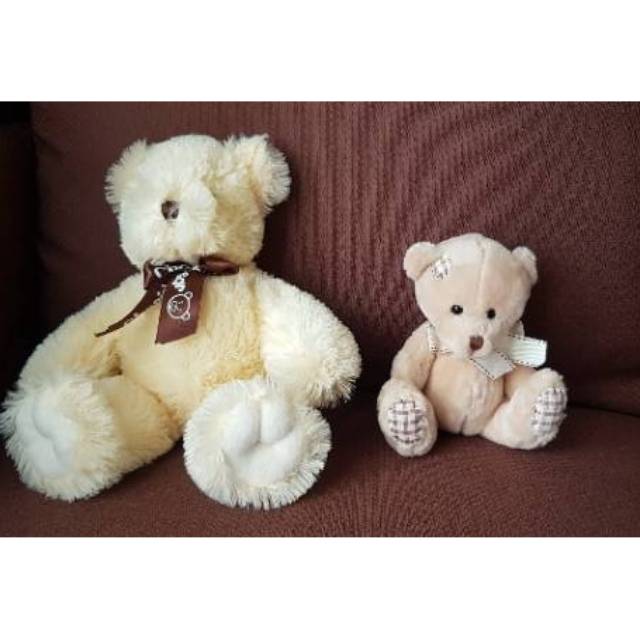 teddy bear set
