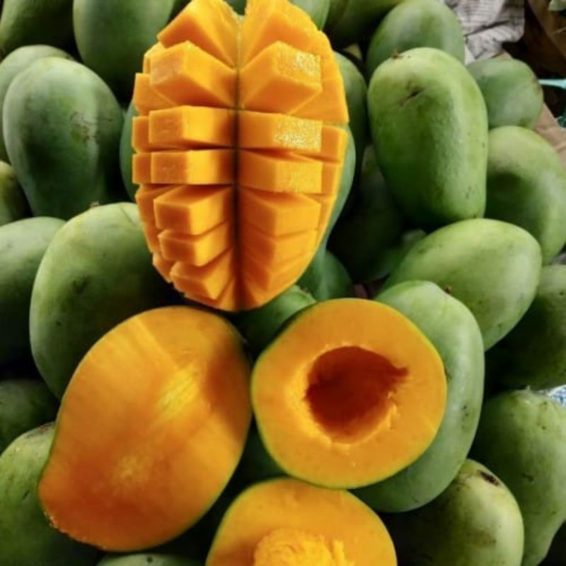 Mangga harumanis matang tua pohon 1kg