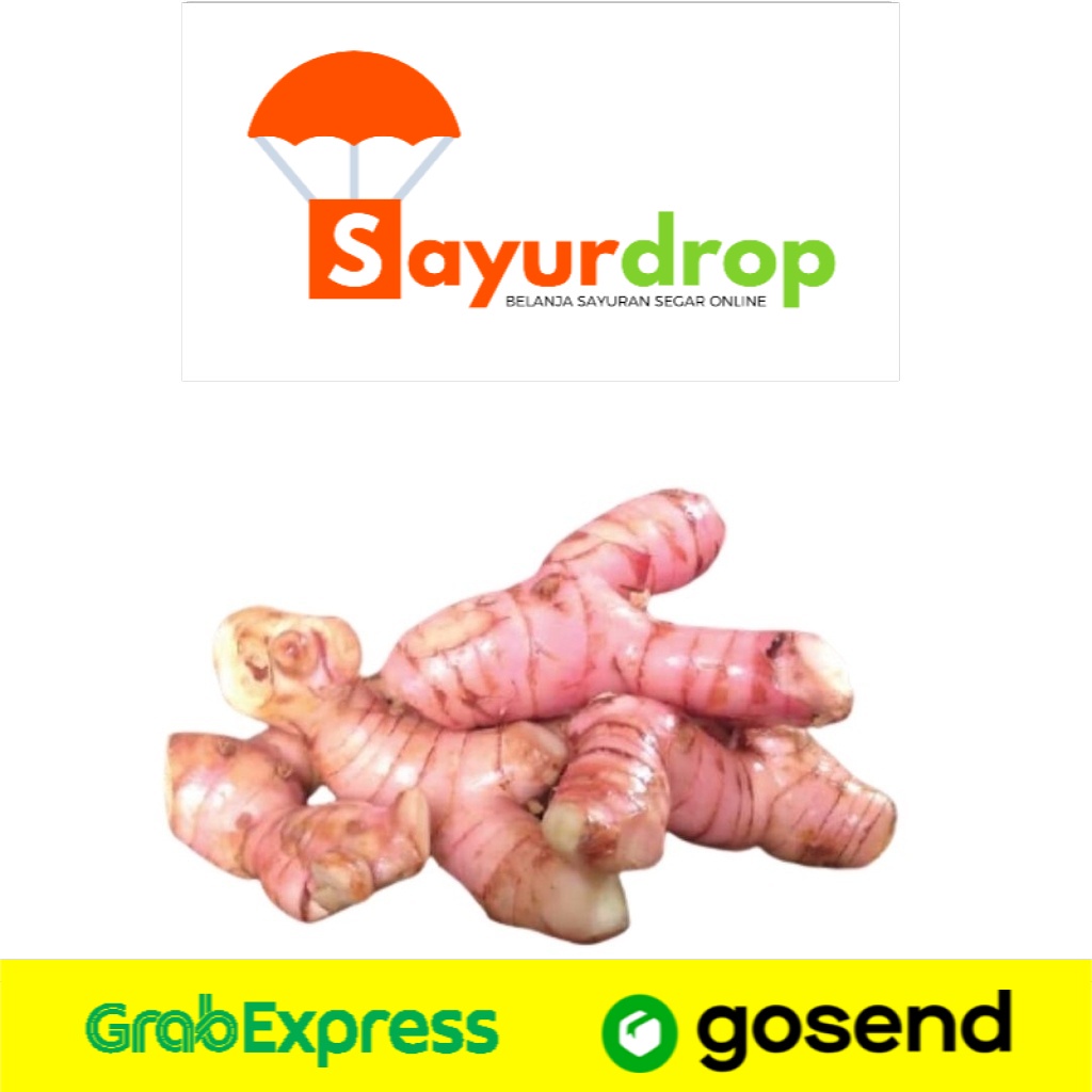 

Lengkuas/Laos 500 Gr - Segar Higienis Murah Cepat - Instant/Same Day Delivery (Sayurdrop)