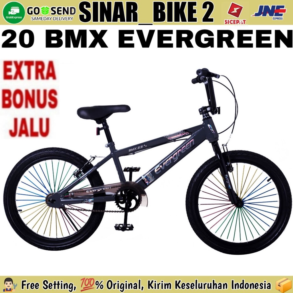 Sepeda Anak Laki BMX 20 Inch Evergreen B2 Ban 2.50