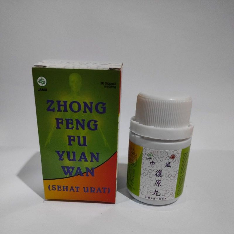 obat struk / zhong feng fu yuan wan  / sehat urat
