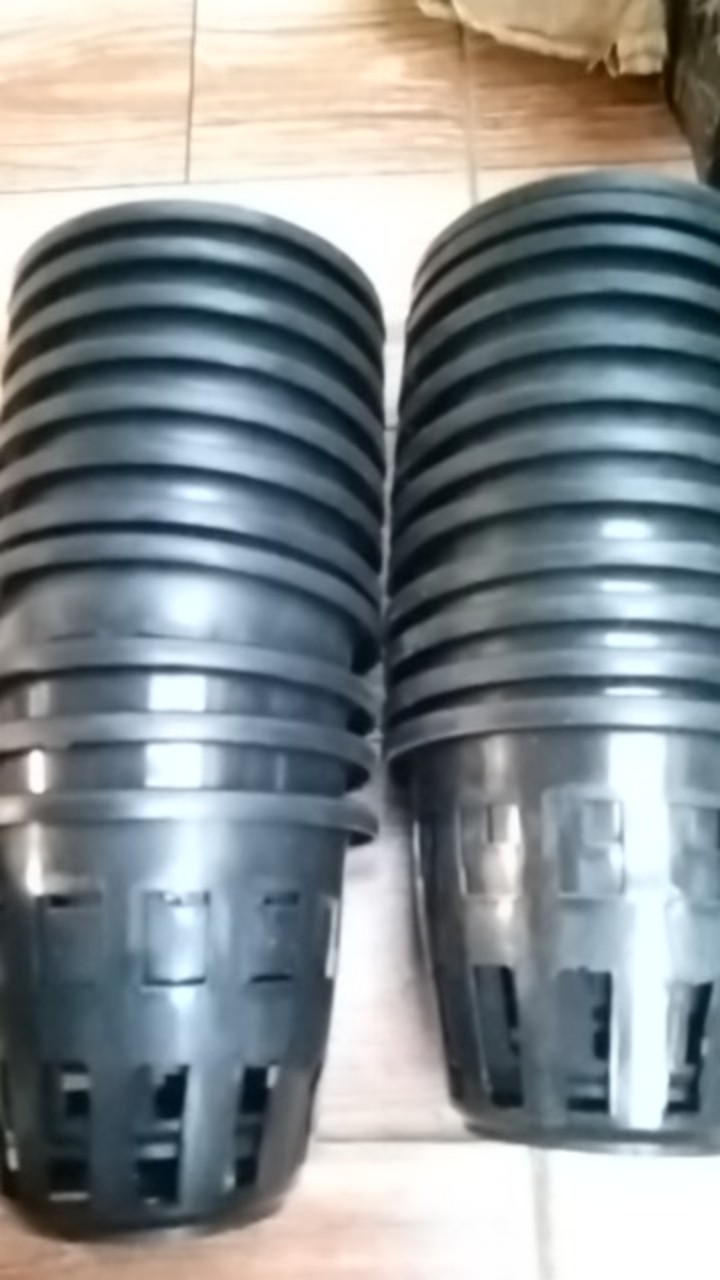 Pot Anggrek 10 Cm | Pot Hidroponik Tanaman Hias Dan Bunga