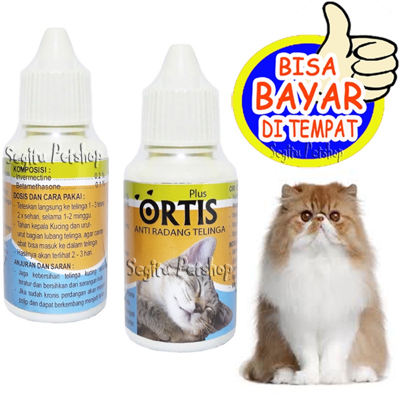Obat Telinga Kucing Radang Bengkak Infeksi Tetes Ortis