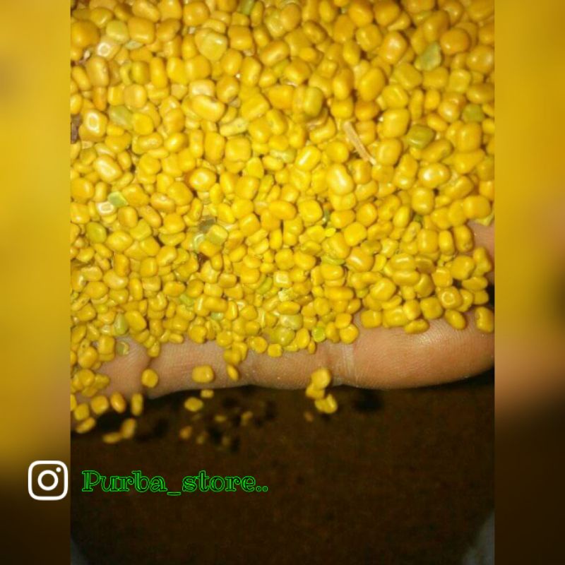 

CM(calopogonium mucunoides)/kacang asu original lokal per1kg