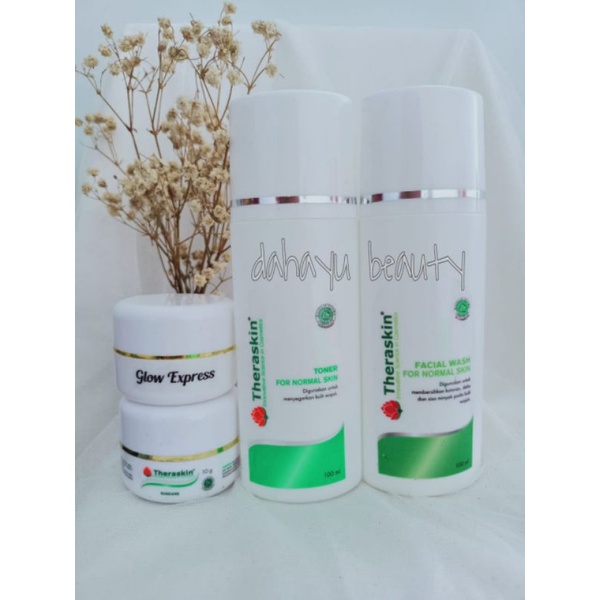 THERASKIN PAKET NORMAL GLOW EXPRESS