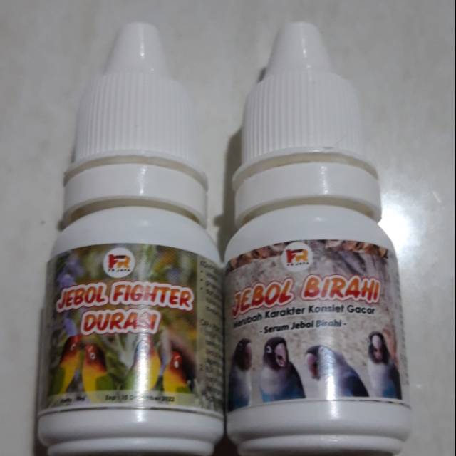 Jebol Birahi dan Jebol Fighter