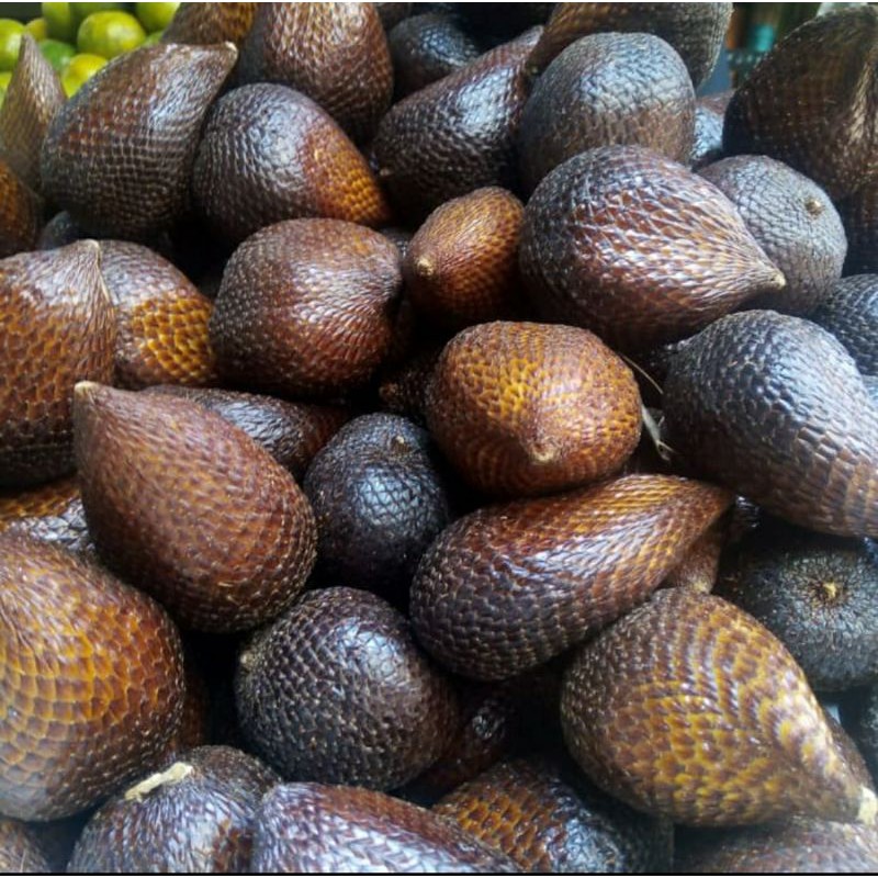 

SALAK SEGAR 500 GRAM / BUAH SALAK / SALAK PONDOH / SALAK MANIS