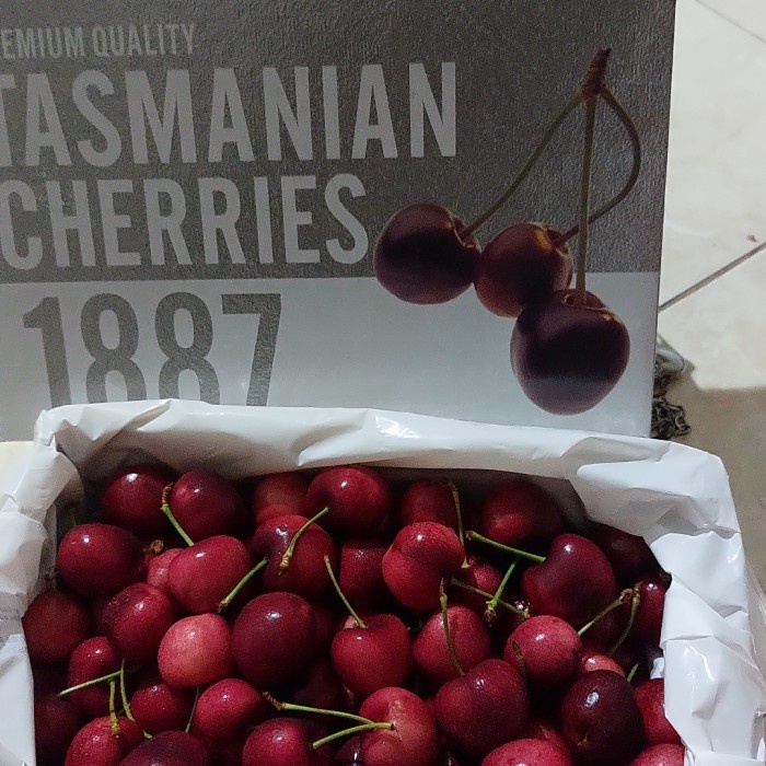 

cherry Tazmanian 1887 1 kotak 2kg