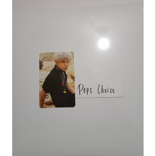 OFFICIAL PHOTOCARD CHANYEOL FROM EXO CHARACTER POUCH