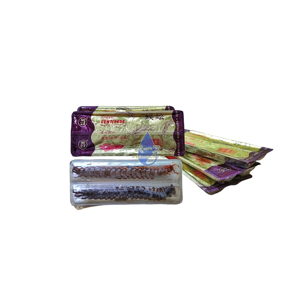 KELABANG BEKU FROZEN CENTIPEDE PIONEER M27 MAKANAN PAKAN IKAN ARWANA